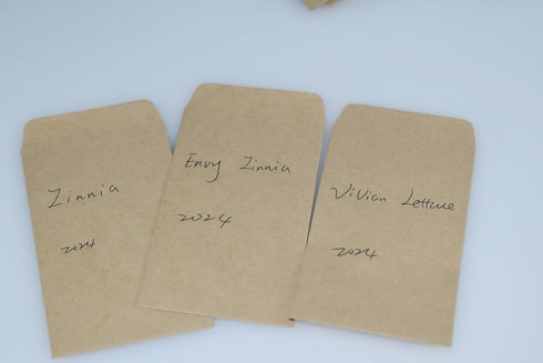 Mini Envelopes, 94pcs 2.3x3.9 in Tiny Envelopes Brown, Blank Seed Packets Small for Cards Party Favors DIY Gifts...