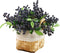 Red Artificial Berry Stems Fruit Fake Silk Berries for Holly Christmas Festival Holiday and Home Decor, Pack of 6 (Blue)...