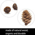 Deloky 150 Pcs Christmas Natural Mini Pine Cones- 2CM Thanksgiving Small Pinecones Ornaments Vase Fillers for DIY Crafts, Home Decorations, Fall a...