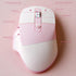 Ergonomic 2.4G & Bluetooth Dual Mode Wireless Mouse with PU Cover, Soundless Keys, Candy Colors, Compatible with Notebook, PC, Tablet, Smartphone ...