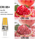 G4 LED Bulb 3W, 12V 20W G4 Halogen Bulb Equivalent, Warm White 3000K, Not Dimmable JC G4 Bi-Pin Base Light Bulb, 10-Pack...