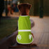 Reflective Dog Vest for Safety - High Visibility Fluorescent Pet Vest Lightweight Jacket Dog Clothes Reflective Dog Harness for Night Walking Hunt...