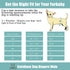 CuteBone Washable Dog Diapers Male with Snaps Reusable Doggie Belly Band for Male Dogs Wraps 3pcs a Pack KDM05XS...