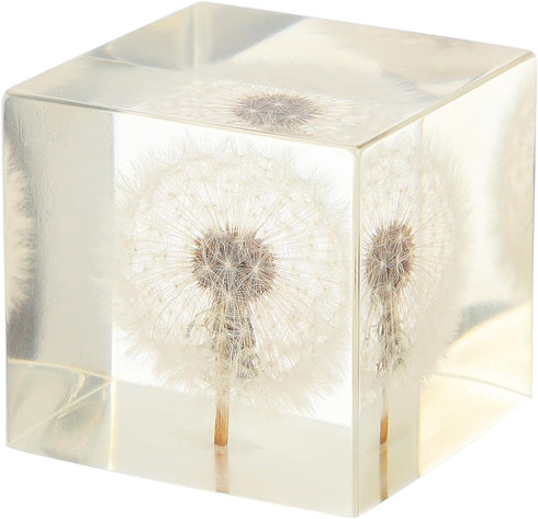 Glass Balls 3D Dandelion Crystal Glass Cube Transparent Desktop Statue Ornament for Birthday Wedding Valentine Home Decor(1.97 in)...