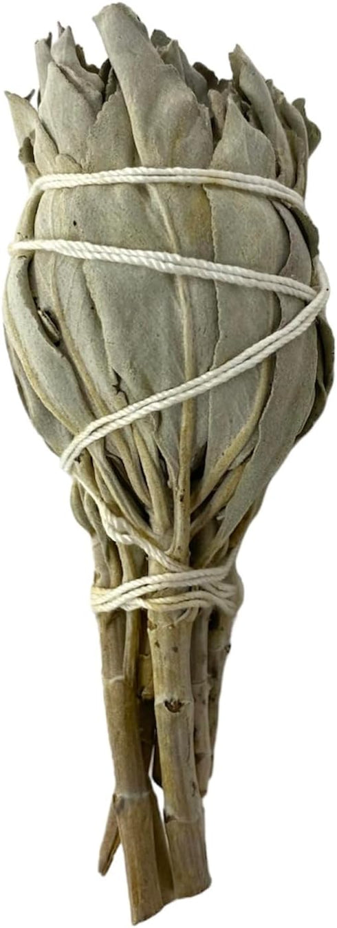 12 California White Sage Smudge Sticks, 3 to 4 Inch Hand Tied, All Natural for Home Cleansing, Stress Relief, & Clearing Negative Energy JC-005...