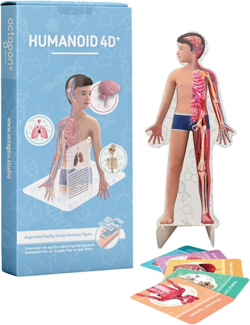 Humanoid 4D+ Augmented Reality Human Anatomy Model - Interactive Educational STEM Tool with Free App, Audio Narration, Multilingual Support - Expl...