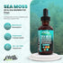 Clean Nutraceuticals Sea Moss Liquid Drops Supplement with Black Seed Oil Ashwagandha Burdock Root & Bladderwrack - Multimineral Organic Non-GMO V...