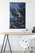 Trends International Lisa Parker - Protector Of Magic Wall Poster, 22.375" x 34", Premium Poster & Clip Bundle...