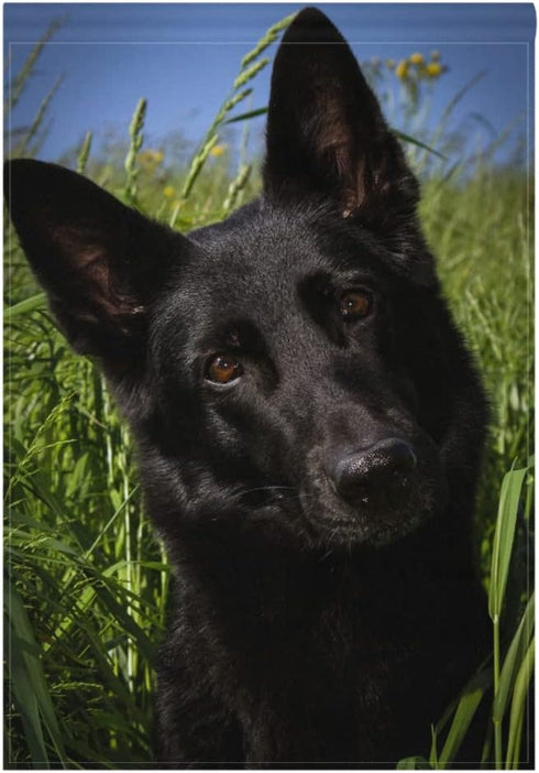Black German Shepherd Dog Garden Flag Banner 12 x 18 Inch Decorative Garden Flag for Outdoor Lawn and Garden Home Décor Double-Sided...