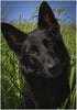 Black German Shepherd Dog Garden Flag Banner 12 x 18 Inch Decorative Garden Flag for Outdoor Lawn and Garden Home Décor Double-Sided...