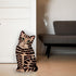 Pavilion Gift Company - Rescue Me Now - Small Brown Tabby Vase, 8-1/2-Inch Tall...