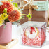 COMFECTO Clear Boxes for Favors 4x4x4, 50 pcs Transparent Giftbox for Macaron Cupcake Candy Cookies Ornament GiftsWedding Party Baby Shower, Singl...