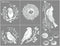 A Maker's Studio - Reusable Adhesive Mesh Stencil Sheet - Great for DIY Arts and Crafts - Suitable for Paints and Inks - Bird Pattern (8.5 x 11 In...