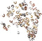 200Pcs Crimp Bead Knot Covers Column Tube Half Round Open Crimp Bead for Craft Supplies DIY Jewelry Making Accessory...