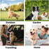 6 PCS Pet Bathing Wipes for Dogs and Cats, Cleaning? Deodorizing Grooming Gloves, Wipes Gloves for Dog and Cat Fur Face, Ear, Eye, Paws Cleaning W...