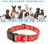 Dog Collar for DO NOT PET, Sturdy Durable with Buckle, Red Dog Collars for Small Medium Large Dogs, Premium Adjustable Polyester Pet Collar...