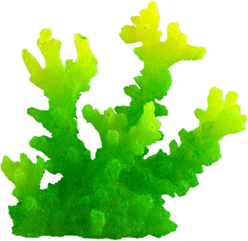 Underwater Treasures Acro - Green...