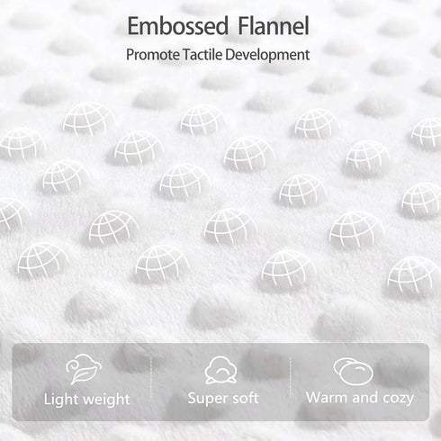 insular Baby Blanket for Boys Girls Soft Plush Minky with Dotted Backing, Double Layer Receiving Blanket for Stroller Crib Newborn Toddler Bed Bla...