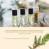 Esteban Paris Cedre Refresher Oil 15ml...