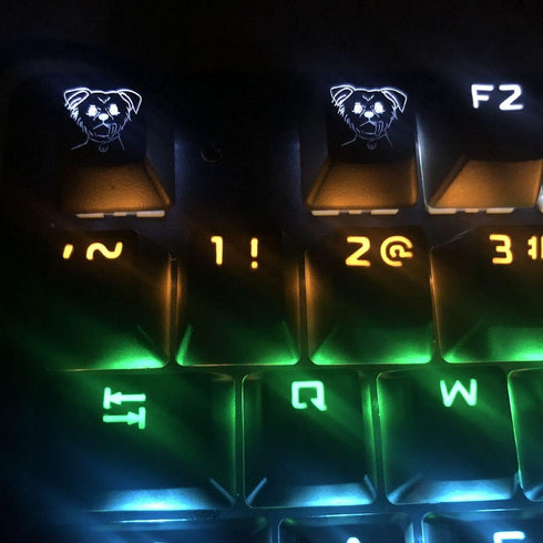 LZYDD Dog Puppy Pattern Backlit Keycaps MX Key Caps for Cherry MX Switches Mechanical Gaming Keyboard (Pack of 2) (Dog Backlit key caps)...