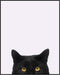 Posterizer 1 pcs-Sneaky Black Cat-Unique Cat Lovers Decor-Art for Animal Lovers-Abstract & Modern Art- Gift for Men Women Teens-Living Room Bedro...