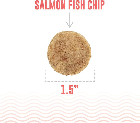 Icelandic+ Fish Chips: Salmon 2.5oz - Dog Treats, for Medium-Large Dogs, Natural 2 Ingredient Air-Dried Crunchy Treats...