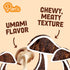 Pan's Mushroom Jerky, Organic, Vegan Snacks, Dried Mushrooms Shitake, Plant based Jerky, Meatless Jerky, Gluten Free, High in Fiber, with Applewoo...