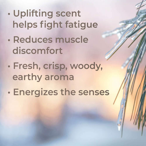 Plant Therapy Black Spruce Essential Oil 10 mL (1/3 oz) 100% Pure, Undiluted, Therapeutic Grade...