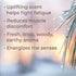 Plant Therapy Black Spruce Essential Oil 10 mL (1/3 oz) 100% Pure, Undiluted, Therapeutic Grade...