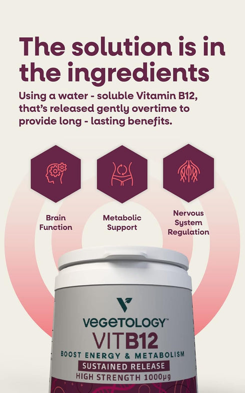 Vitamin B12 Supplements – Vegan B12 Vitamins for Energy Support – Vit B12 Vitamin Supplements for All Ages – Vitamin B12 1000 Mcg (60 Tabs)...
