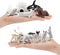 10pcs Arctic Animals Figurines,Mini Arctic Animal Toy Set, Arctic Circle Ocean Sea Animal Figurines Playset for Kids Educational Toys -Cake Topper...