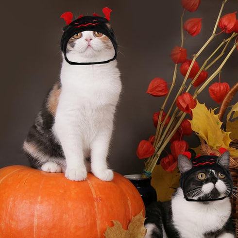 Hying Cats Halloween Demon Hat for Dogs Pet, Adjustable Cute Black Pet Devil Cap for Halloween Cosplay Costume Puppy Kitten Party Dress Up Accesso...