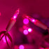 200 Pink LED Christmas Lights with Pink Wire, Pack of 2 Sets 33 ft 100 Count UL Certified Commercial Grade String Light...