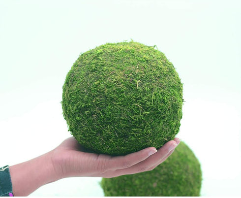 Nice purchase Handmade Natural Green Plant Moss Balls Decorative for Home Party Display Decor Props (6 in)...