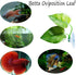 3 Pack Betta Fish Leaf Pad Improves Betta's Health by Simulating The Natural Habitat - Natural, Organic, Comfortable Rest Area for Fish Aquarium...