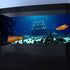 72X24IN Natural Underwater Aquarium Background, Pictures 3D Fish Reef Fish Tank Decoration Background, with 8 EVA Double-Sided Tape...