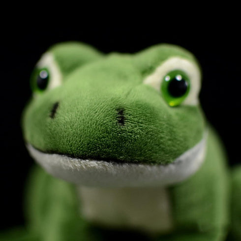 ZHONGXIN MADE Giant Frog Plush - Lifelike 13 Inch Seated Frog Stuffed Animal, Green Reptile Frog Plush, Super Soft Plush Doll, Plush Toys for Kids...