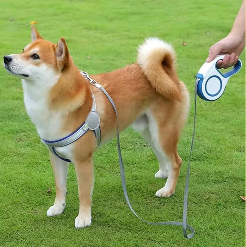 Time4Pets New Retractable Dog Leash Tangle-Free | 16ft Strong Nylon Tape | One-Handed Braking System | Supports up to 30 kg / 65 lb | 180° Non-Coi...