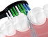 Replacement Flossing Toothbrush Heads Compatible with WaterPik Sonic Fusion/2.0 Brush and Flosser Combo… SF-01 / SF-02 / SF-03 / SF-04 with Crysta...