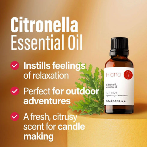 H’ana Citronella Oil - 100% Pure and Natural Citronella Essential Oil for Candle Making, Diffuser, and Aromatherapy - with a Fresh, Grassy Scent (...