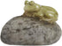 Top Collection Miniature Fairy Garden and Terrarium Statue, Sleeping Cute Frog on Stone...