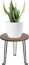 Wooden Plant Stand, Indoor Modern Wood Plant Riser Decorative Corner 7.8" Round Plant Stool Planter Short Stand Flower Pot Holder for Home Garden ...