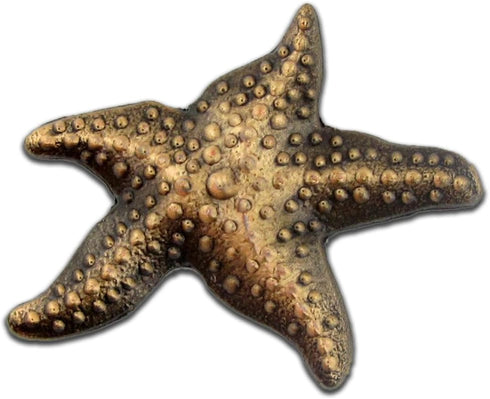 PinMart's Starfish Lapel Pin on Starfish Story Card Make A Profound Difference Gift...