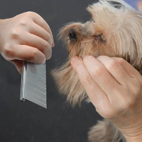 Dog Combs, Stainless Steel Pet Grooming Comb with Rounded Ends, Metal Pet Comb for Removing Tangles and Knots of Dogs, Cats and other Pets....