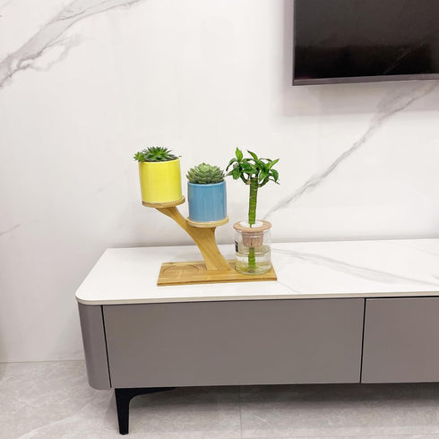 Window Sill Plant Shelf?Desk Desktop Bamboo Plant Stand?Table Succulent Plant Stand for Home, Office, Living Room, Bedroom Decoration...