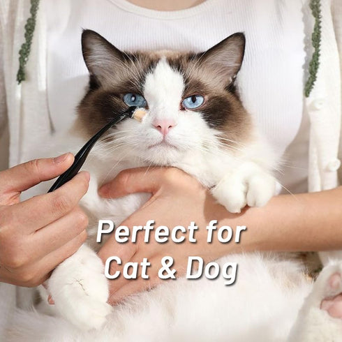 Dog and Cat Eye Powder Brush - 4 Pack Tear Stain Remover Brush with Washable Fiber Ergonomic Handle (4 Pack)...
