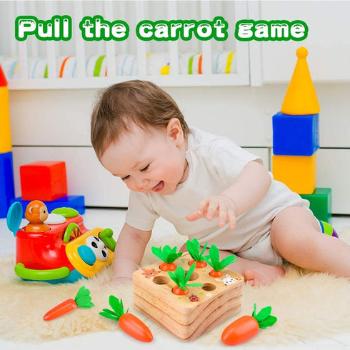Wooden Educational Toys for 1 2 3 Year Old Boys Girls, Carrots Harvest Montessori Shape Size Matching Game for Fine Motor Skill Preschool Learning...