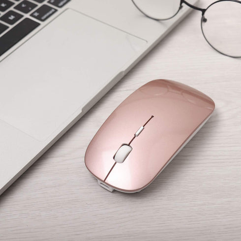 ShuGuoTu Wireless Mouse, 2.4G Slim Mute Silent Click Noiseless Optical Mouse with USB Receiver and Type C Adapter Compatible with Notebook, PC, La...