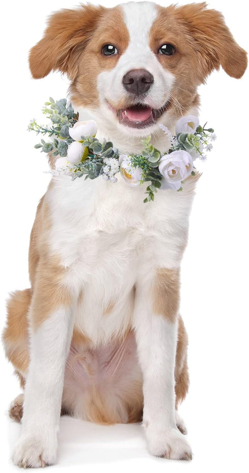 Dog Wedding Flower Collar Dog Wedding Attire Wreath Bow, for Weddings Flower Ring Pets Cats and Dog, Pet Photo Prop (White, Fresh, Medium)...