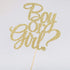 Boy or Girl Cake Topper - Glitter Baby Shower Party Decorations Supplies (Gold)...